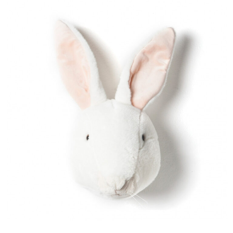 Brigbys-hvid-kanin