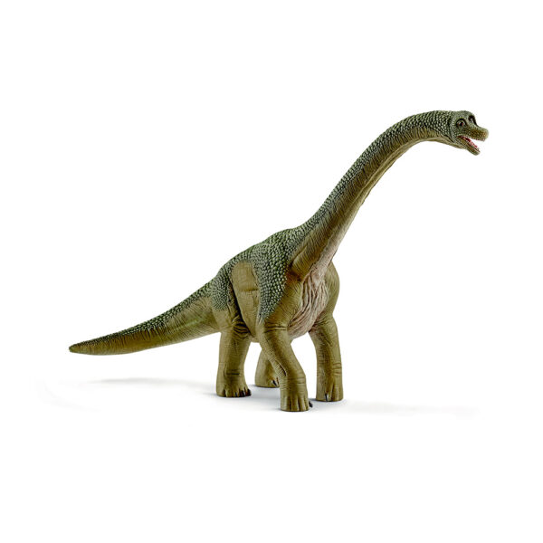 Brachiosaurus 14581
