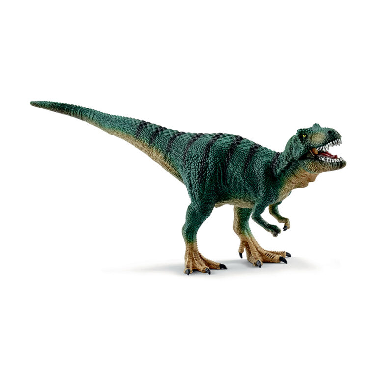Tyrannosaurus Rex, unge 15007