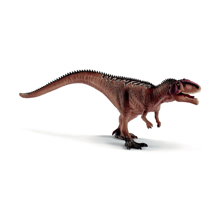 Giganotosaurus, unge 15017