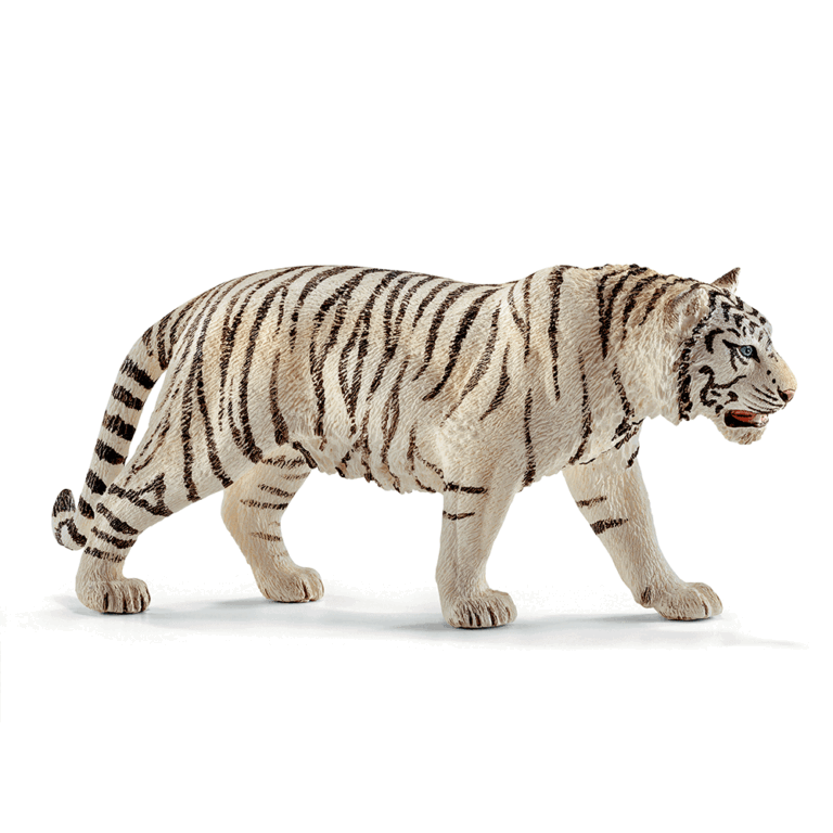 14731.-Hvid-tiger