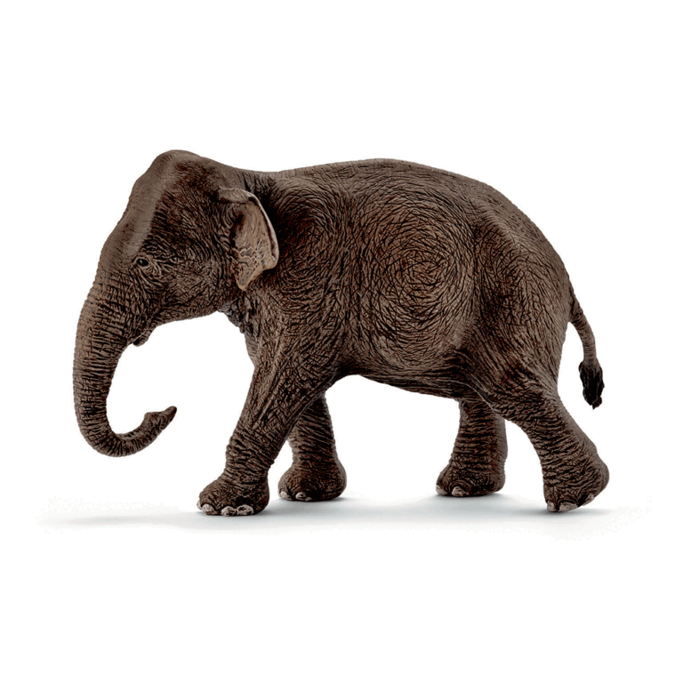 14753.-Elefant