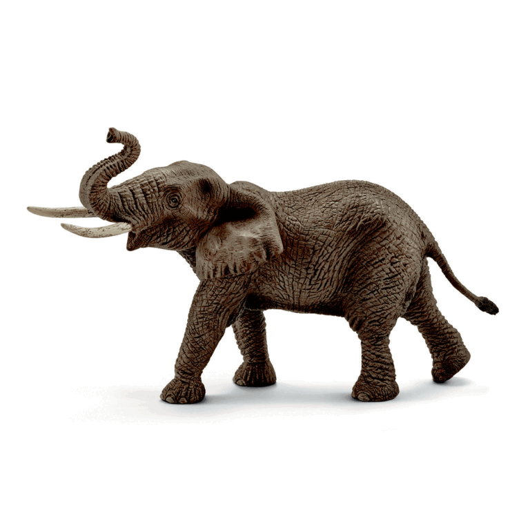 14762.-Asiatisk-hanelefant