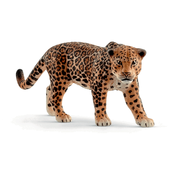 14769-Wild-Life-Jaguar