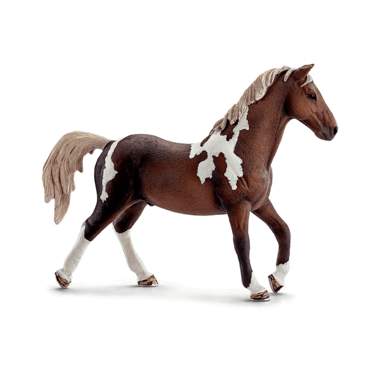 13756-Brun-hvid-plettet-hest
