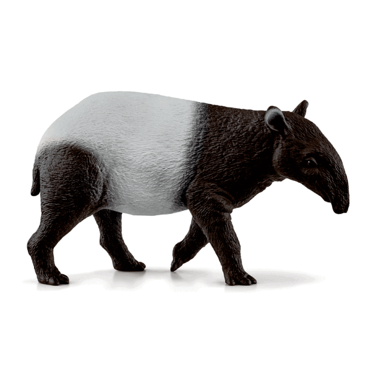 14850-Tapir